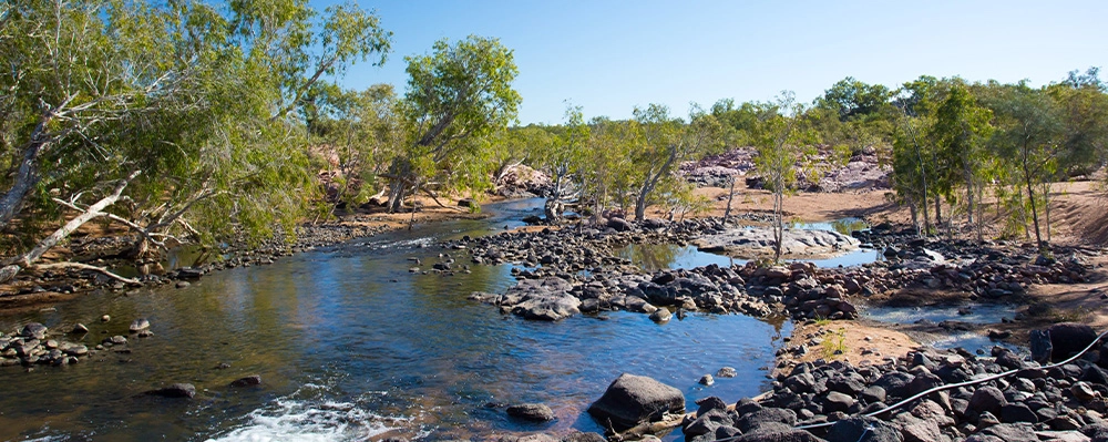 O’Brien’s Creek Camp