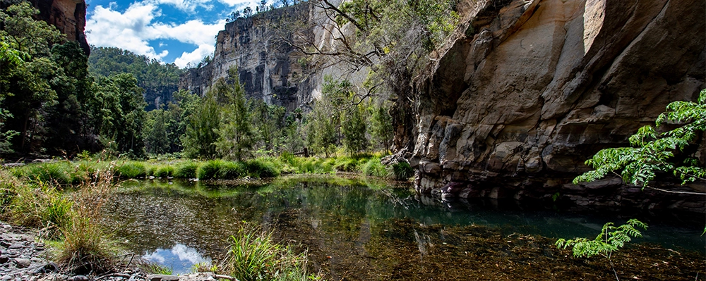 Carnarvon Gorge