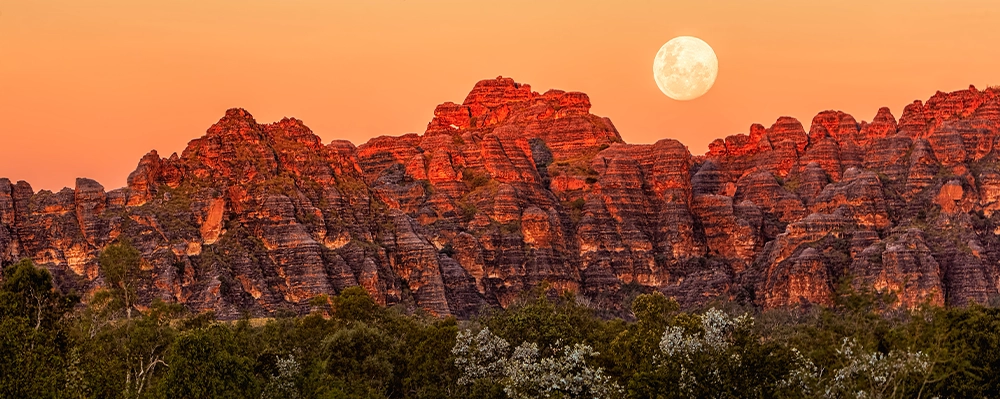 Inner-Image-3-Bungle-Bungles