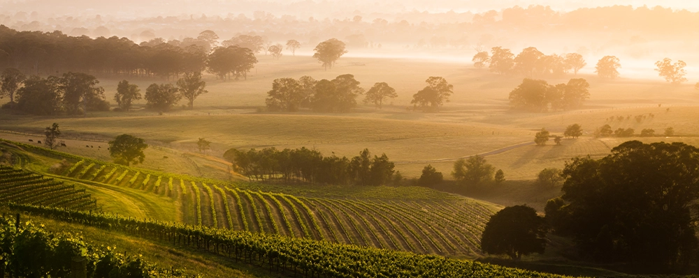 Inner-Image-4-Hunter-Valley