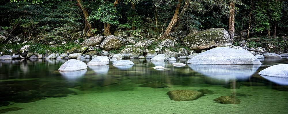 Inner-Image-7-Mossman-Gorge
