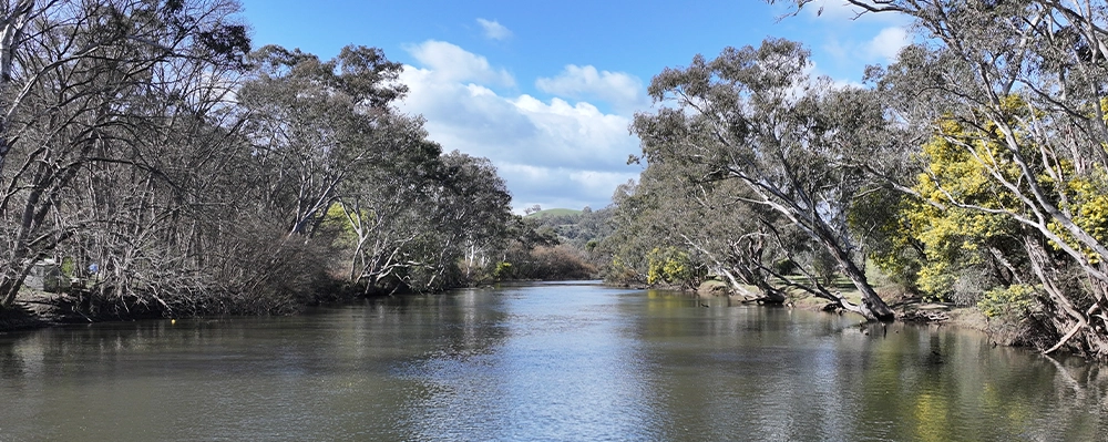 Victoria-Caravan-Spots-Inner-Image-7-Toolangi