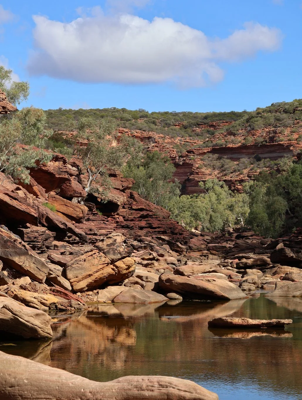 A red rock gorge and waterhole on The Kiwi Van Life&rsquo;s travels