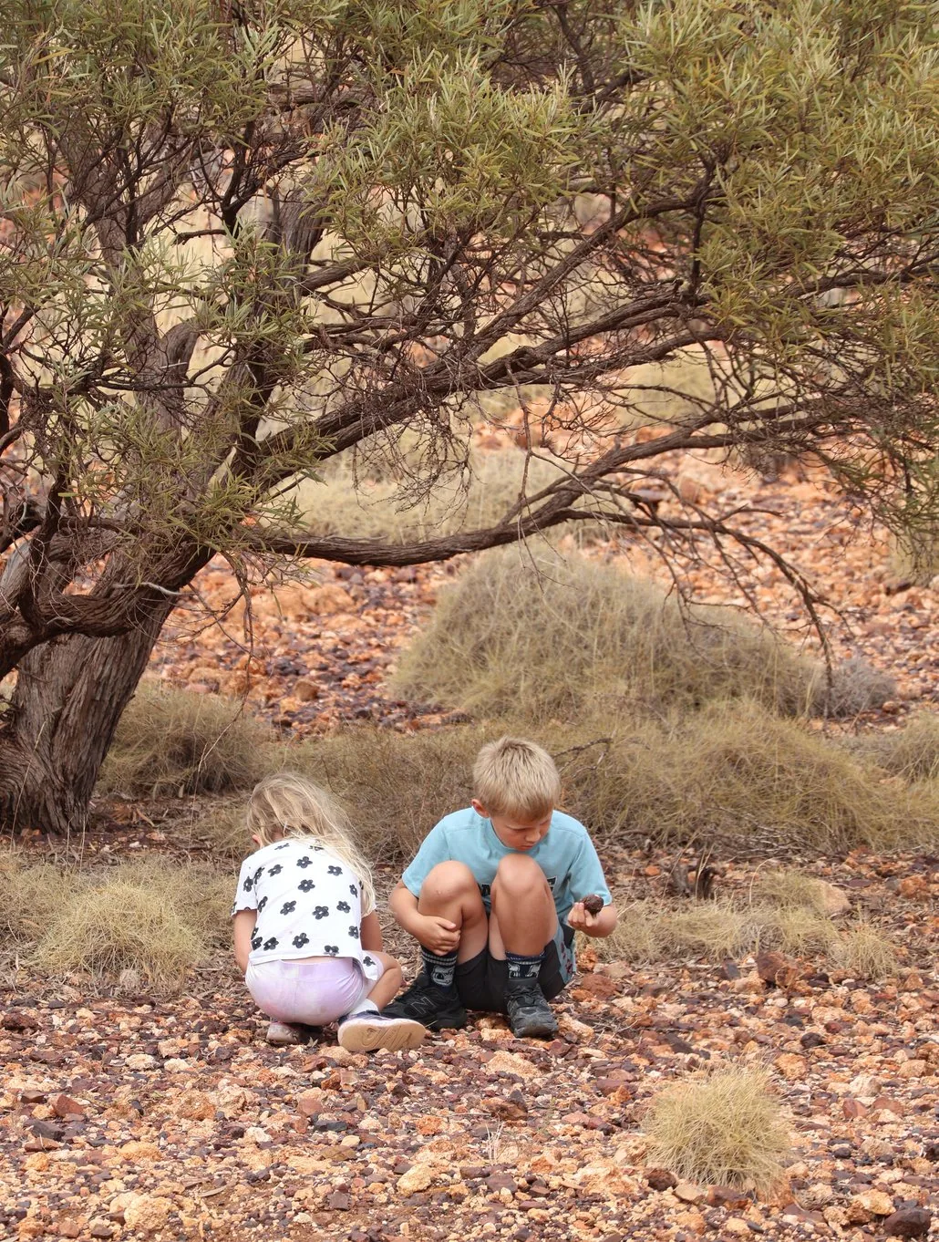The Kiwi Van Life kids exploring red dirt country